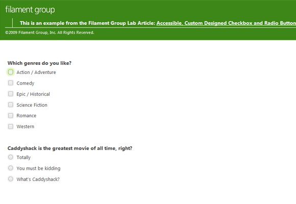 Designed Checkbox & Radio Button Inputs Style
