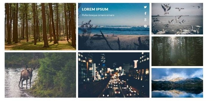 codepen-gallery-grid